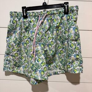 Vibrant Green Lime Fruit Patterned Men's Swim Trunks